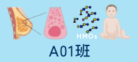 A01班