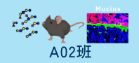 A02班