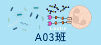 A03班